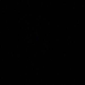 Meet your Posher, Preet